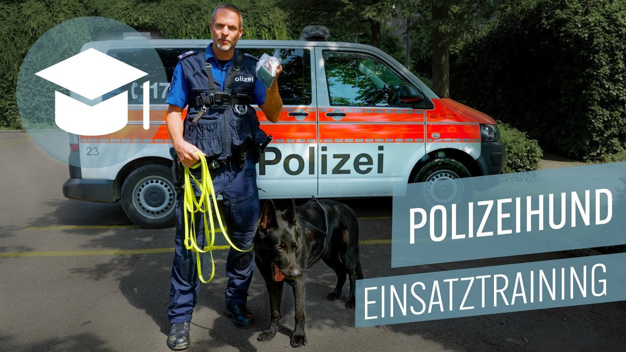 Stadtpolizei Zürich: Einsatztraining mit Polizeihund Qaio