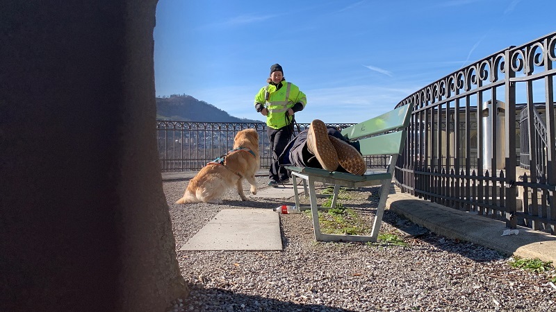 Mantrailing-Seminar mit Nina Ort Suchhundeausbildung "lange Trails taktisch arbeiten mit mehreren Hunden"