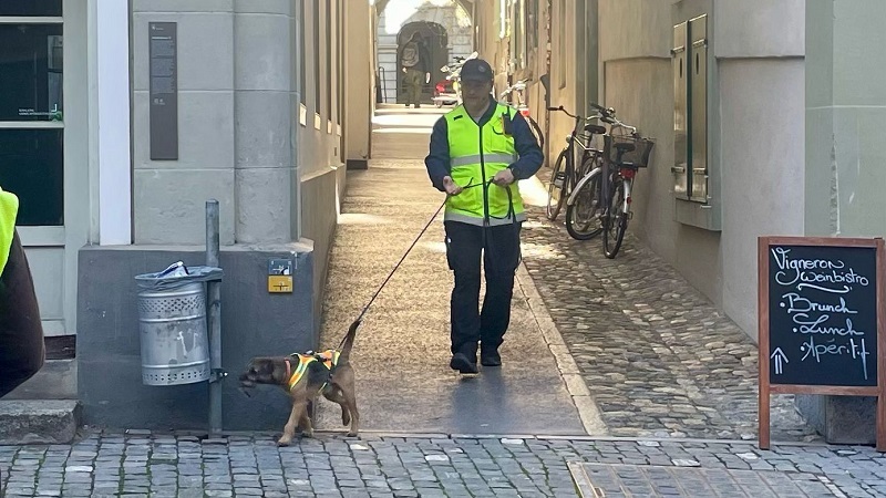 Mantrailing-Seminar mit Nina Ort Suchhundeausbildung "lange Trails taktisch arbeiten mit mehreren Hunden"