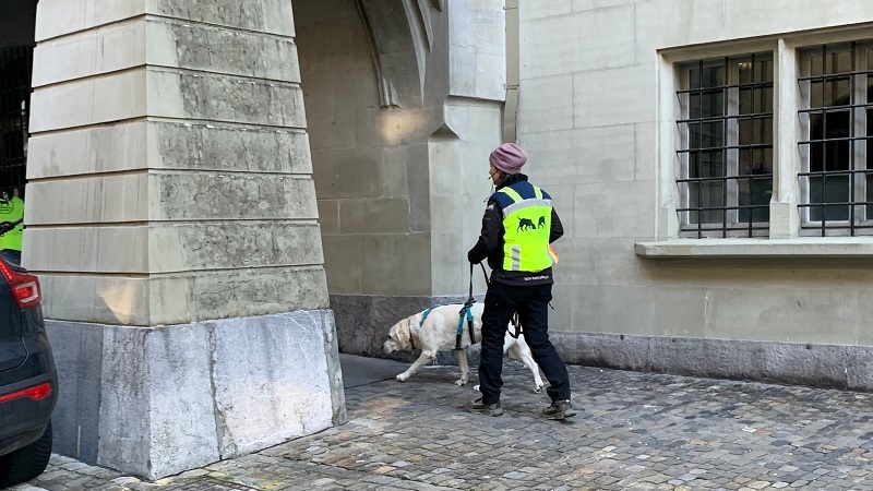 Mantrailing-Seminar mit Nina Ort Suchhundeausbildung "lange Trails taktisch arbeiten mit mehreren Hunden"