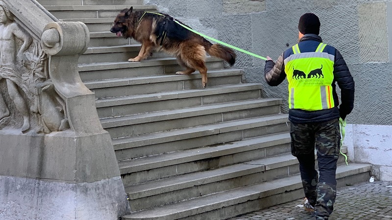 Mantrailing-Seminar mit Nina Ort Suchhundeausbildung "lange Trails taktisch arbeiten mit mehreren Hunden"