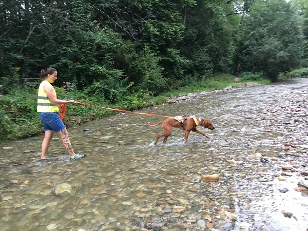 Mantrailing im Wasser